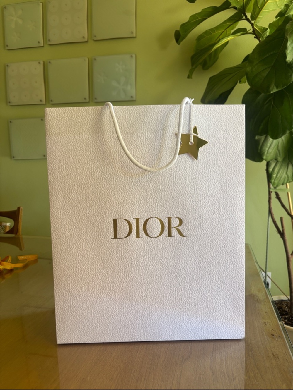 Authentic Dior bag and star